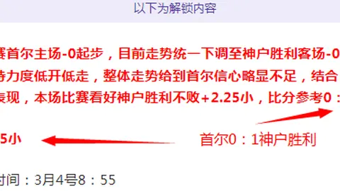 巅峰对决：马斯特里赫特挑战阿尔梅勒城，实力较量一触即发！